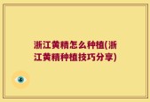 浙江黄精怎么种植(浙江黄精种植技巧分享)