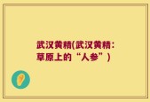 武汉黄精(武汉黄精：草原上的“人参”)