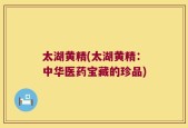 太湖黄精(太湖黄精：中华医药宝藏的珍品)