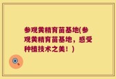 参观黄精育苗基地(参观黄精育苗基地，感受种植技术之美！)