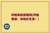种植黄精很赚钱(种植黄精：挣钱好生意！)