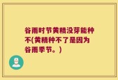 谷雨时节黄精没芽能种不(黄精种不了是因为谷雨季节。)