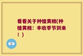 看看关于种植黄精(种植黄精：丰收季节到来！)
