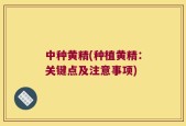 中种黄精(种植黄精：关键点及注意事项)