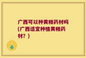 广西可以种黄精药材吗(广西适宜种植黄精药材？)