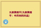 九制黄精干(九制黄精干：中药材的珍品)