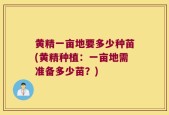 黄精一亩地要多少种苗(黄精种植：一亩地需准备多少苗？)