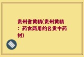 贵州省黄精(贵州黄精：药食两用的名贵中药材)