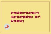 云南黄精合作种植(云南合作种植黄精：助力农民增收)