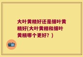 大叶黄精好还是细叶黄精好(大叶黄精和细叶黄精哪个更好？)
