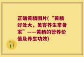 正确黄精图片(“黄精好处大，美容养生常备家”——黄精的营养价值及养生功效)