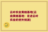 云岭农业黄精基地(云南黄精基地：走进云岭农业的世外桃源)