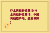 柞水黄精种植基地(柞水黄精种植基地：中国黄精原产地，品质保障)