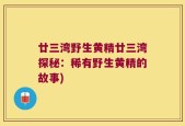 廿三湾野生黄精廿三湾探秘：稀有野生黄精的故事)