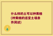 什么样的土可以种黄精(种黄精的适宜土壤条件简述)