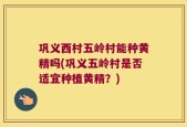 巩义西村五岭村能种黄精吗(巩义五岭村是否适宜种植黄精？)