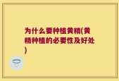 为什么要种植黄精(黄精种植的必要性及好处)