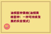 油桐套种黄精(油桐黄精套种：一种可持续发展的农业模式)
