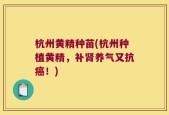 杭州黄精种苗(杭州种植黄精，补肾养气又抗癌！)