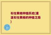 石柱黄精种植历史(重温石柱黄精的种植之路)