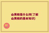 山黄精是什么样(了解山黄精的基本知识)