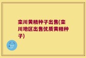 栾川黄精种子出售(栾川地区出售优质黄精种子)