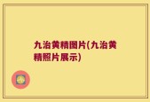 九治黄精图片(九治黄精照片展示)