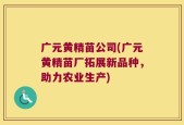广元黄精苗公司(广元黄精苗厂拓展新品种，助力农业生产)