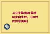 300村黄精粽(黄精粽走向乡村，300村民共享美味)