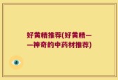 好黄精推荐(好黄精——神奇的中药材推荐)