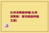 化州滇黄精种植(化州滇黄精：探访精益种植之道)