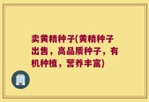 卖黄精种子(黄精种子出售，高品质种子，有机种植，营养丰富)