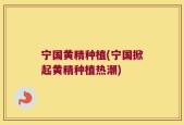 宁国黄精种植(宁国掀起黄精种植热潮)