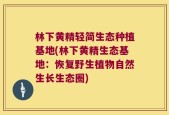 林下黄精轻简生态种植基地(林下黄精生态基地：恢复野生植物自然生长生态圈)