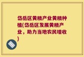 岱岳区黄精产业黄精种植(岱岳区发展黄精产业，助力当地农民增收)