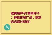 收黄精种子(黄精种子：种植市场广阔，需求远远超过供应)