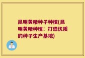 昆明黄精种子种植(昆明黄精种植：打造优质的种子生产基地)