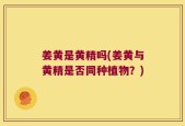 姜黄是黄精吗(姜黄与黄精是否同种植物？)