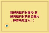 新鲜黄精药材图片(新鲜黄精药材的真实图片，神奇功效惊人！)