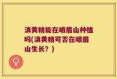 滇黄精能在峨眉山种植吗(滇黄精可否在峨眉山生长？)