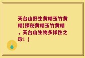 天台山野生黄精玉竹黄精(探秘黄精玉竹黄精，天台山生物多样性之珍！)