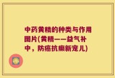 中药黄精的种类与作用图片(黄精——益气补中，防癌抗癫新宠儿)