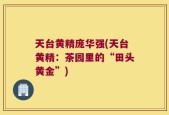 天台黄精庞华强(天台黄精：茶园里的“田头黄金”)