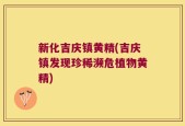 新化吉庆镇黄精(吉庆镇发现珍稀濒危植物黄精)
