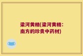梁河黄精(梁河黄精：南方的珍贵中药材)