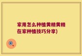 家用怎么种植黄精黄精在家种植技巧分享)