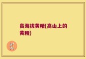 高海拔黄精(高山上的黄精)