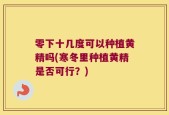 零下十几度可以种植黄精吗(寒冬里种植黄精是否可行？)