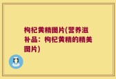 枸杞黄精图片(营养滋补品：枸杞黄精的精美图片)