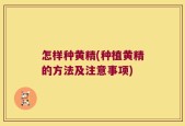 怎样种黄精(种植黄精的方法及注意事项)